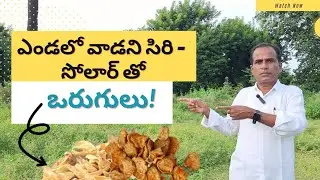 Amazing with fruits and vegetables | sun-dried vegetables | karshaka Nestham | agriculture tips