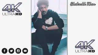 😍Bollywood Actor Status😍 South Actor Status_||_ Shahrukh Khan Status_||_WhatsApp Status