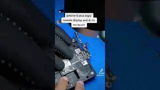 iphone 6 plus no backlight and touch not working.