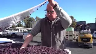 Fast Stories of Change : Stuart Ake and Harvest at The Wine Foundry