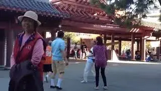 Old Chinese folks playing Jianzi (踢毽子),
