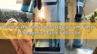 Review AquaMiracle Aquarium Filter 3-Stage in-Tank Filter Internal Fish Tank Filter Turtle Filter fo