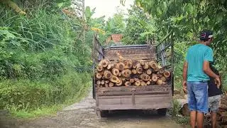 Homesteading: Transporting the Wood Harvest _FarmersLife _Shorts