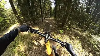 Majówkowe lapsy | Skarżysko-Kamienna