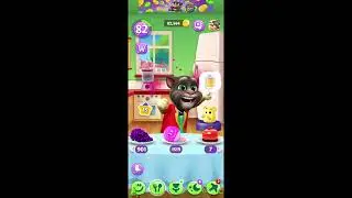My tom 1 funny tom🤣