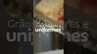 Arroz Arb&oacute;rio Rampinelli
