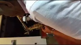 Banda Papayera Son Cafe Celular 3167352240 Armenia - Quindio 
