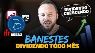 BEES3: A&ccedil;&atilde;o Com Dividendos Mensais! Vale Mais que ABCB4 e PINE4?