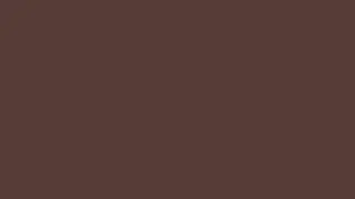 12 Hour Rocky Road (Brown) 4k 3840x2160 Silence No Sound #5A3E36