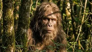 NEW Bigfoot Footage SO CLEAR It'll Make YOU Believe!