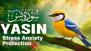 Surah Yaseen (Yasin) (سورة يس) | Stress Relief & Deep Sleep Quran Recitation #quranforsleep