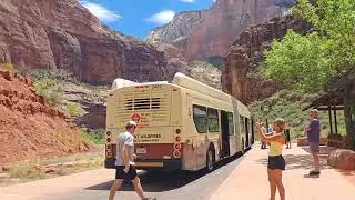 Zion National Park Electric Shuttles (New Flyer 60 ft articulated)