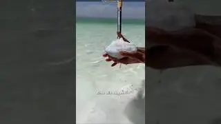 What happens if you eat raw salt #shorts