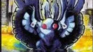 Metazoo 1st Edition Cryptid Nation Booster Box #1 - Double Mothman?!