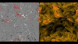 Solar Campfire Magnetic Fields
