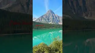 Beautiful Mt. Chephren #canada #shorts #mountains #lake