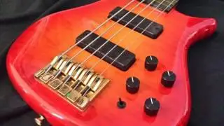 Pedulla Thunderbuzz 5 (Fretless Bass Demo)