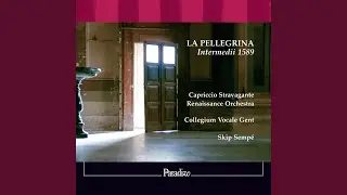 Chi dal delfino a 6