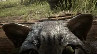 Drunk Arthur loves cats
