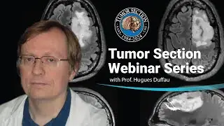 Brain Mapping Webinar Series: A meta-networking model of brain processing