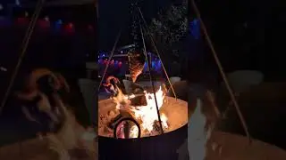Rosemary lamb over fire