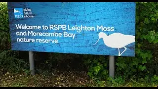 Leighton Moss Nature Reserve in Three Minutes #LeightonMoss