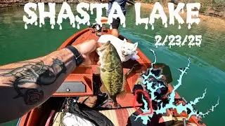 SHASTA LAKE....ON A BOAT!?!?! 3/23/25