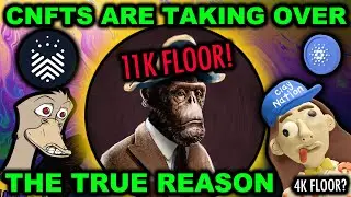 CNFTS ARE TAKING OVER! The Ape Society (11K Floor)! Clay Nation (4K Floor)! Book.io RIPPING! QUACK?