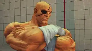USF4 ▶ FADC Compilation