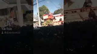 mobile Alabama fat Tuesday parade 2023 #viral #nbayoungboy #shorts #music #youtubeshorts #tiktok