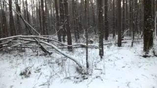 DSCF0262