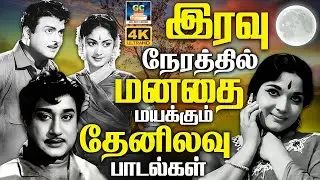 இரவு நேரத்தில் மனதை மயக்கும் தேனிலவு பாடல்கள் | Evergreen Classic Hit Songs | TMS | P.Susheela