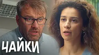 Чайки: 1-4 серии ПОДРЯД