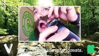 Green Beard Forest Therapy 4-28-2020