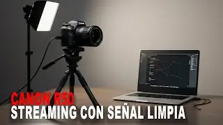 Configura tu Canon R50 para Streaming | Se&ntilde;al HDMI limpia paso a paso