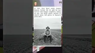 kansas dust share of 37