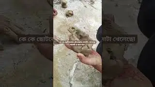 গ্রামবাংলার হারানো ঐতিহ্য 