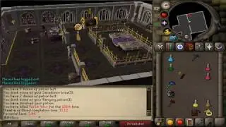 Ironman Solo Raids Runewild [RSPS]