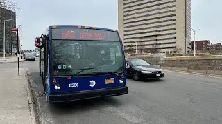 MTA: On Board 2019 Novabus LFS #8536 On The Q46 Local Bus Route Via Union Turnpike: (03/01/2022)