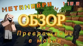 ОБЗОР НА МОД Metamorph | ПРЕВРАЩЕНИЕ В МОБОВ В МАЙНКРАФТ | Обзоры модов #5
