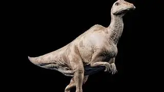 Tsintaosaurus Spinorhinus Sounds J.W