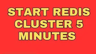 Redis Cluster Setup step-by-step | The TechFlow