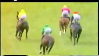 1981 King George VI & Queen Elizabeth II Diamond Stakes Extended Footage