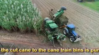 Sugar Cane Harvest 2018 Season
