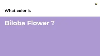 Biloba Flower color #ae99d2 hex color - Violet color - Warm color ae99d2