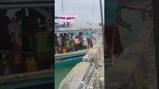 #mancing #mancingceria #fishing #mancingmania #mancingmantap #shorts #shortvideo #spot
