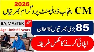 CM Punjab Development Programme Jobs 2026 – Apply Online & Preparation Tips | Complete Guide