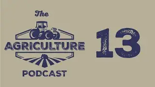 Podcast with the Crew! Feat: Casey Briggs, Barret Brown, and Zack Moen