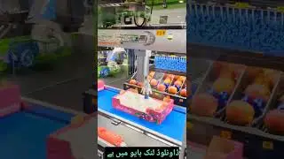 Dubai mai fruit packing ki nokri #dubai #dubaijobs #jobs #packing #packingjob #money #success #job