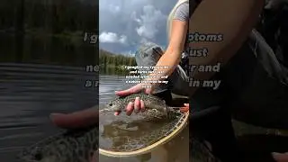 Here lies happiness #flyfishing #howtoflyfish #fishingvideo